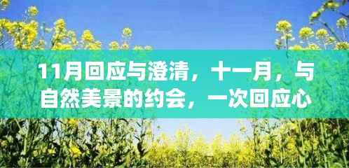 十一月回应与澄清,心灵深处的自然美景之旅