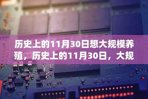 11月30日与大规模养殖的起源发展，历史回顾与探究
