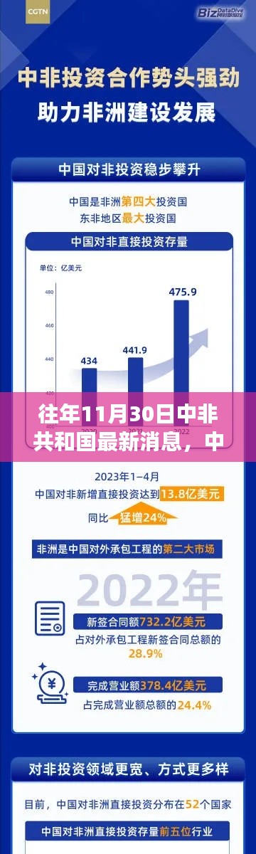 中非共和国最新消息深度回顾与洞察，往年11月30日回顾与洞察