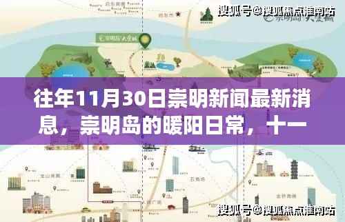 崇明岛暖阳日常，十一月三十日的新闻与温馨故事