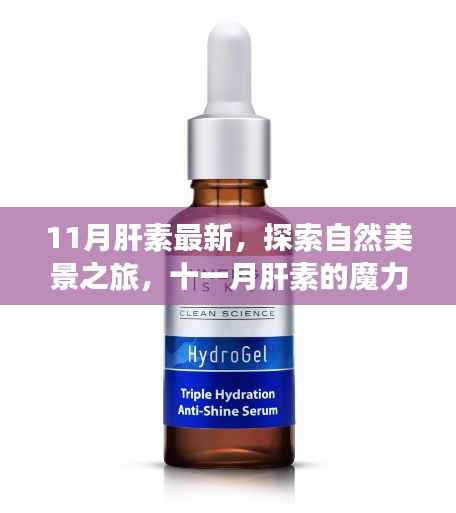 11月肝素最新，探索自然美景之旅，十一月肝素的魔力与宁静之旅的呼唤