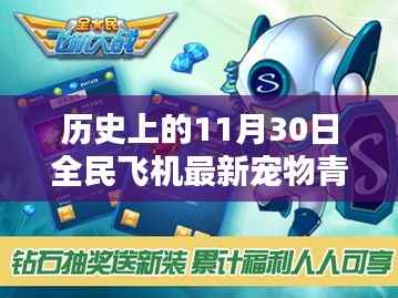 深度解析与观点阐述,全民飞机新宠青龙——历史上的11月30日独家揭秘