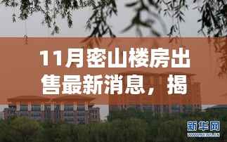 密山十一月楼市揭秘,最新楼盘出售消息与小巷特色小店探秘