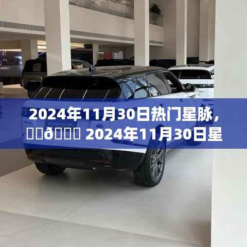 🌟 2024年11月30日星座运势揭秘,星脉盛宴开启,热门星脉运势大放送!