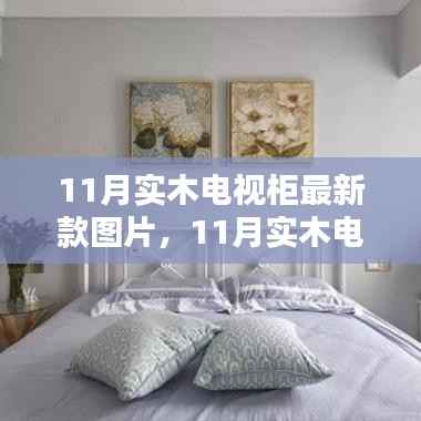 11月实木电视柜最新款图片大赏，时尚与经典的融合，温馨家居新风尚的缔造者！
