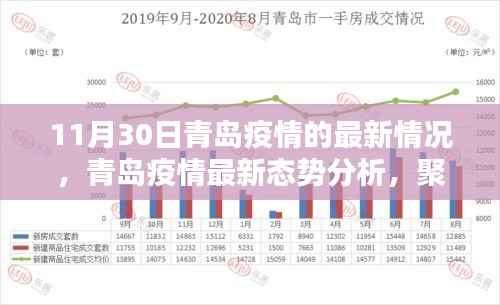青岛疫情最新动态解析,聚焦数据与个人观点分析(截至11月30日)