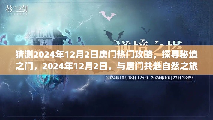 揭秘秘境之门，探寻唐门热门攻略，共赴自然之旅（2024年12月2日）