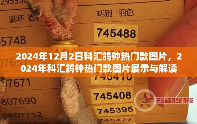 2024年科汇鸽钟热门款图片展示与详细解读