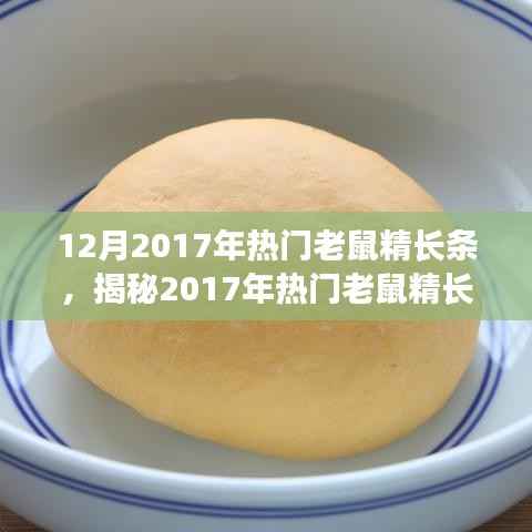 揭秘2017年热门老鼠精长条，技术革新与应用探讨的要点解析