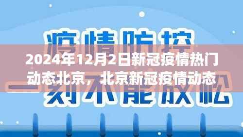 北京新冠疫情动态更新，聚焦热点进展与最新动态（2024年12月2日）