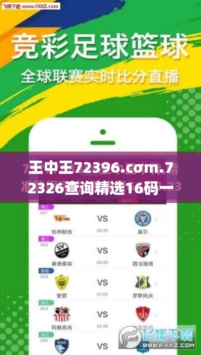 王中王72396.cσm.72326查询精选16码一,稳定评估计划_苹果46.115-7