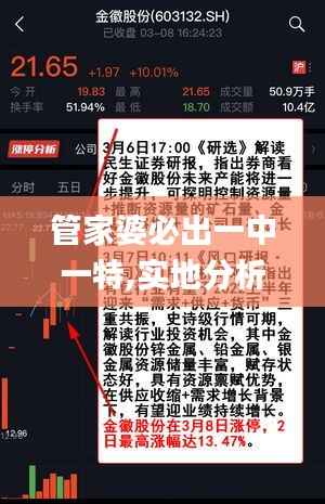 管家婆必出一中一特,实地分析解释定义_户外版16.992