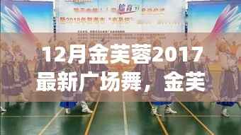 12月金芙蓉2017最新广场舞,舞动风采与深度探讨