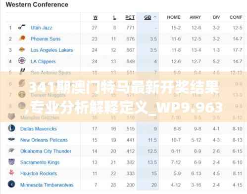 341期澳门特马最新开奖结果,专业分析解释定义_WP9.963