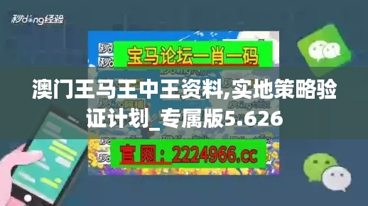 澳门王马王中王资料,实地策略验证计划_专属版5.626