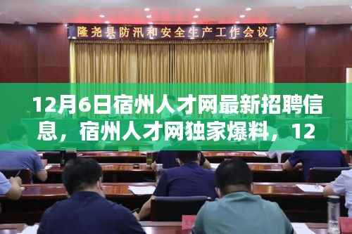 宿州人才网独家爆料，最新招聘信息全解析，职等你来！