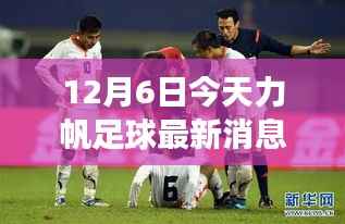 力帆足球队变革新动向,最新观察分析(12月6日)