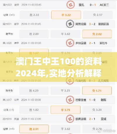 澳门王中王100的资料2024年,实地分析解释定义_WearOS2.125
