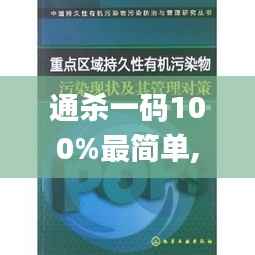 通杀一码100%最简单,持久性策略解析_薄荷版10.386