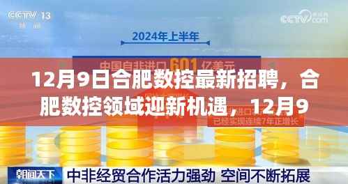 12月9日合肥数控最新招聘,合肥数控领域迎新机遇,12月9日招聘活动深度剖析