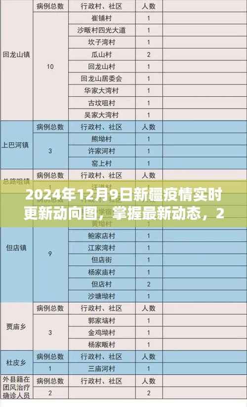 最新动态，2024年12月9日新疆疫情实时更新动向图