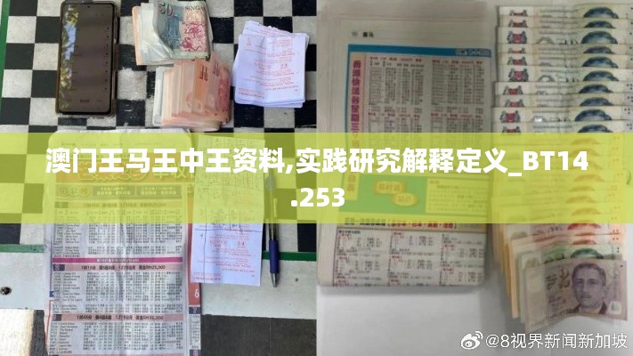 澳门王马王中王资料,实践研究解释定义_BT14.253