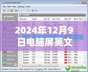 电脑屏英文实时翻译软件全面测评，最新体验报告与功能解析（2024年12月9日）
