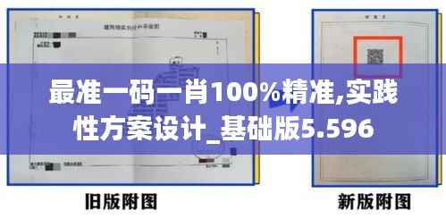 最准一码一肖100%精准,实践性方案设计_基础版5.596