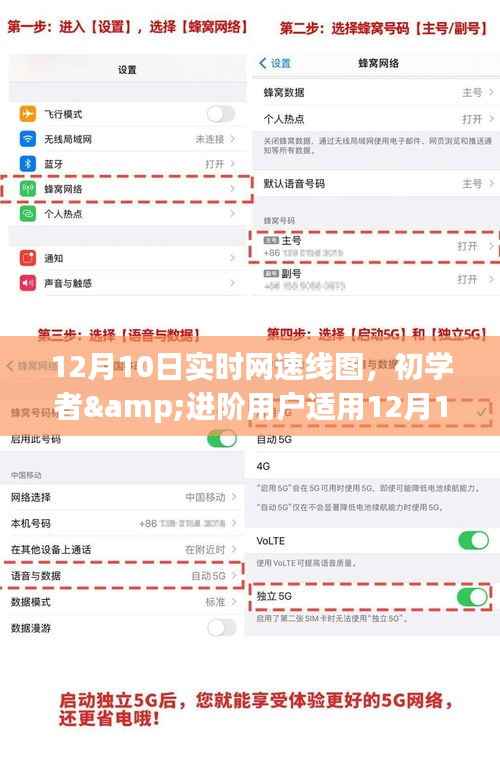 12月10日实时网速线图制作指南，适合初学者与进阶用户的详细步骤
