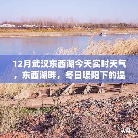 武汉东西湖实时天气,冬日暖阳下的温情日常