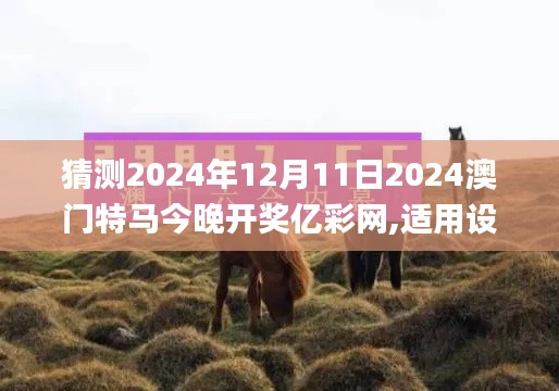 猜测2024年12月11日2024澳门特马今晚开奖亿彩网,适用设计解析_探索版4.436