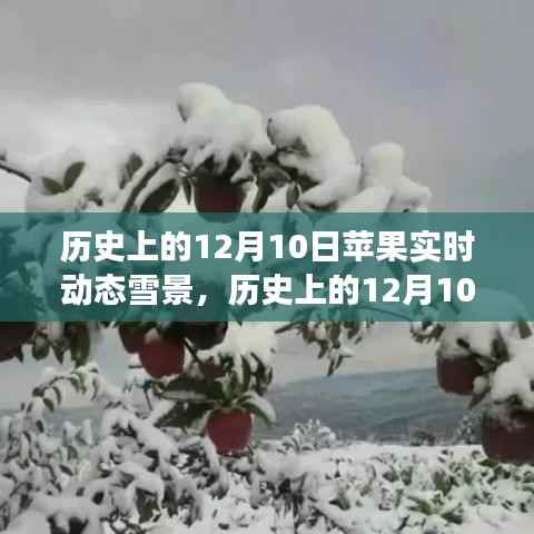 历史上的12月10日,苹果雪景下的励志与自信成就之光