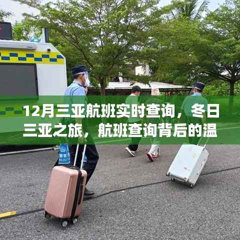 航班背后的温情故事,三亚航班实时查询与冬日之旅
