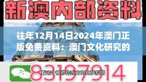往年12月14日2024年澳门正版免费资料:澳门文化研究的新视角