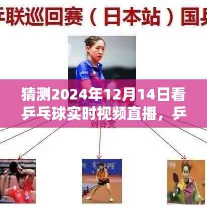 乒乓球直播之夜，共度美好时光，期待2024年乒乓球赛事精彩瞬间