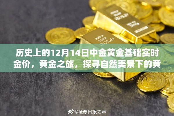 黄金之旅,探寻自然美景下的金价与内心宁静——历史上的黄金基础实时金价回顾(12月14日)