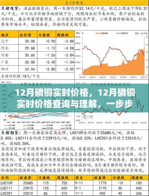 掌握行情信息，12月磷铜实时价格查询与解析