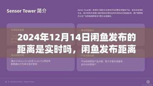 闲鱼实时发布距离功能,开启与自然美景的邂逅之旅