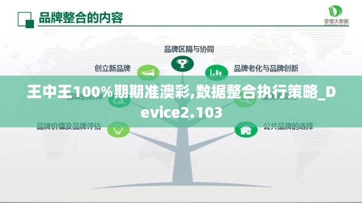 王中王100%期期准澳彩,数据整合执行策略_Device2.103