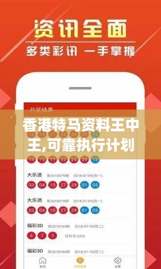 香港特马资料王中王,可靠执行计划_SHD6.261