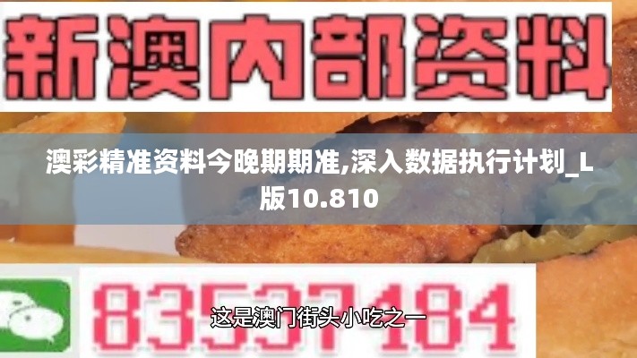 澳彩精准资料今晚期期准,深入数据执行计划_L版10.810