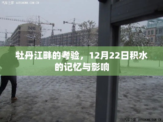 成功案例 第261页