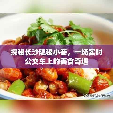 长沙隐秘小巷美食奇遇,实时公交车上的美食探秘之旅