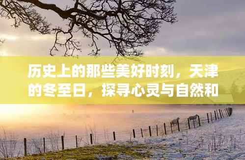 成功案例 第254页