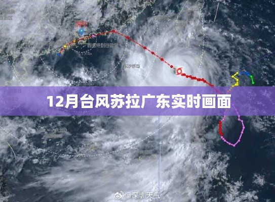 广东台风苏拉实时画面报道