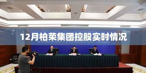 柏荣集团控股最新实时动态解析