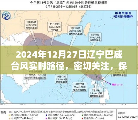 辽宁巴威台风最新路径更新，实时关注保障安全