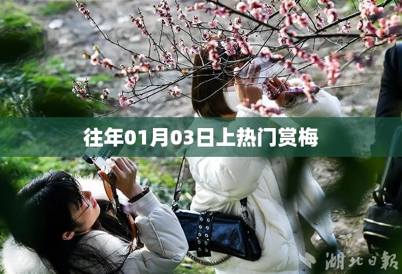 成功案例 第215页