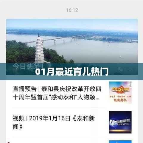 望其项背 第3页