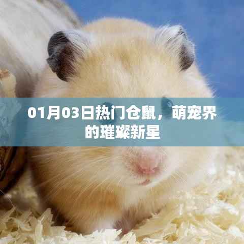 目不转睛 第3页